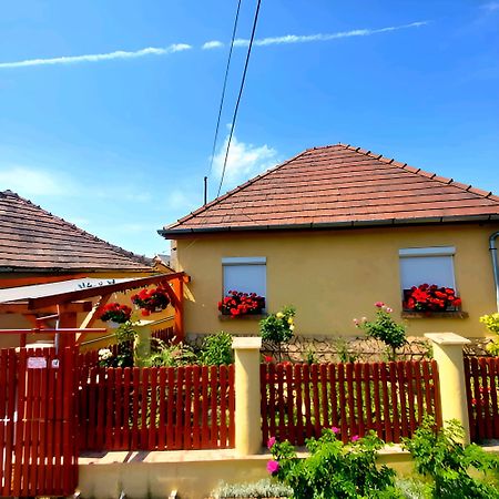 Kata Vendeghaz Apartment Satoraljaujhely Ngoại thất bức ảnh